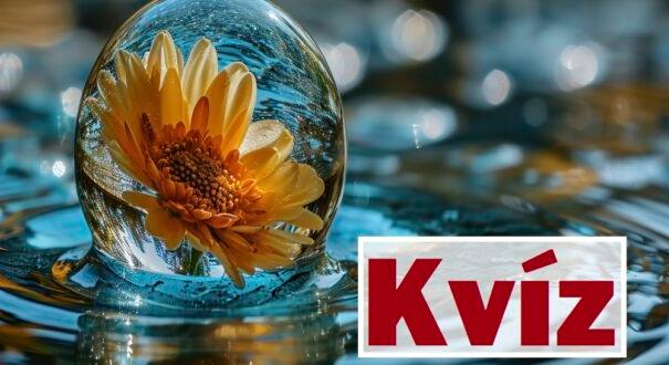 Kvíz-mix: Ezek a kérdések, nehezek, de érdekesek (691)