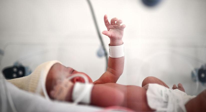 Hihetetlen: elképesztő mélységben a németek gyermekvállaló kedve