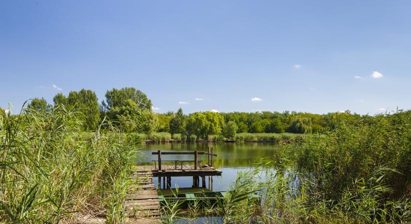 4 varázslatos hely a Tisza-tónál: belföldi bakancslistára való, varázslatos helyszínek, ahova idén menj el!