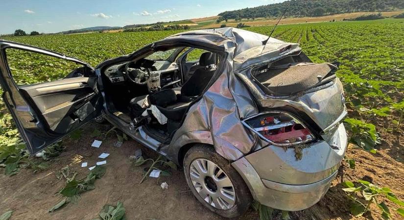 Levelet írt a mentőknek az autós, aki napraforgótáblában landolt, sokkolók a részletek