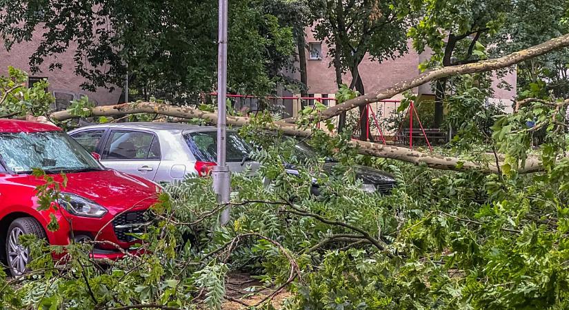 Debrecenből közel ezer kárigény érkezett a viharok után az Alfa Biztosítóhoz