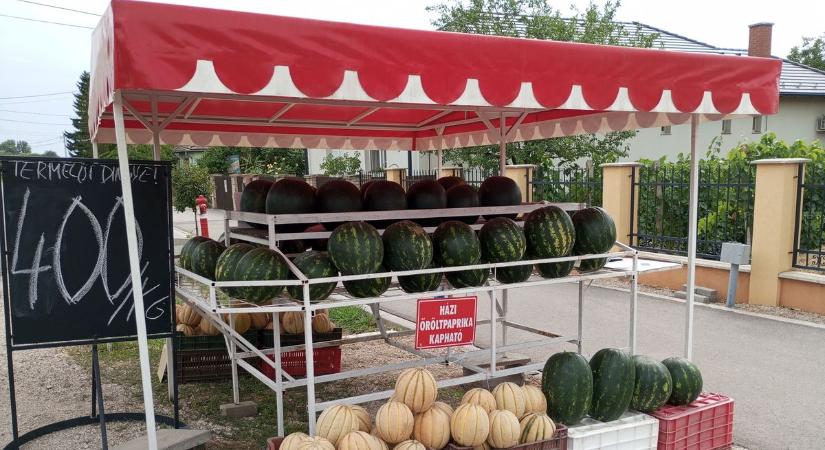 A cecei dinnye fogalom – azt is megtudtuk, miért (videó)