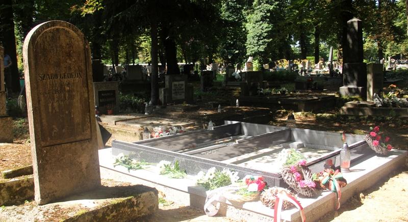 Kutyaszorító idők után nyakörvet kaptunk – 3. rész