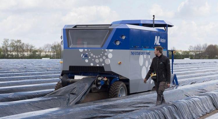 AVL Compact S9000 – autonóm robotizált fehérspárga-betakarítás