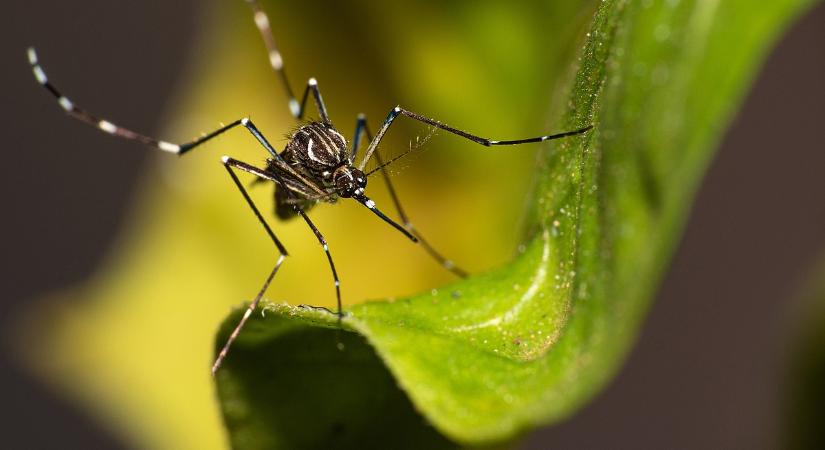 Itt egy életbevágó figyelmeztetés az utazóknak, hallgasson a jó szóra