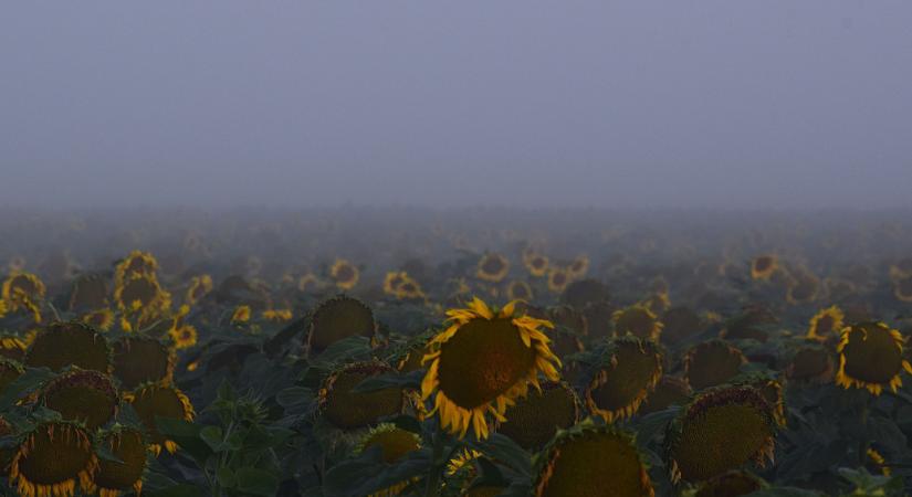 Becsapós kis nyár ez: keleten reggel még köd is volt