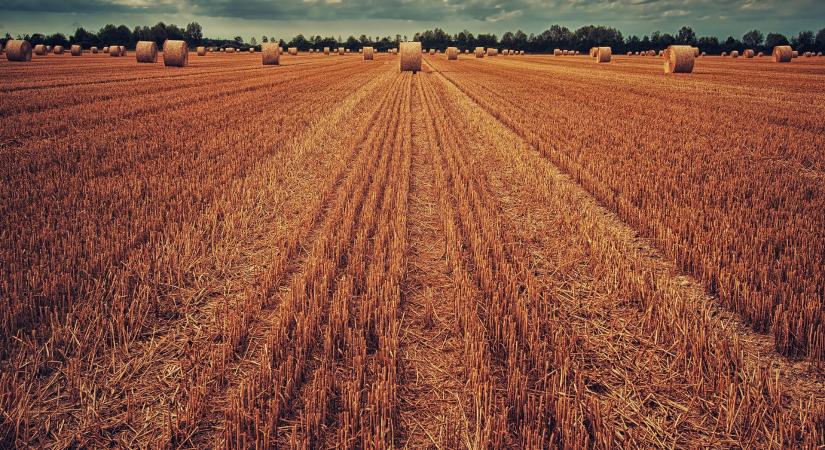 Agrotechnikai feladatok és bejelentési kötelezettségek a támogatások tükrében