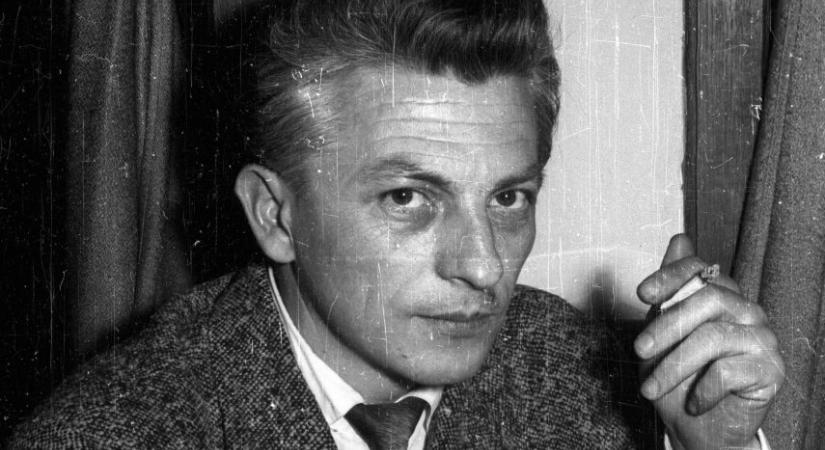 Vers, ami látszik