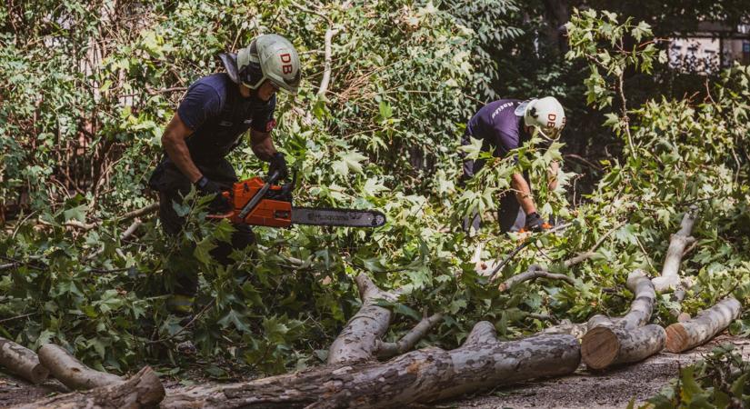 A debreceni közvélemény-kutató cég felmérése szerint a magyarok csaknem kétharmada elégedett a vihar okozta veszélyek elhárításával