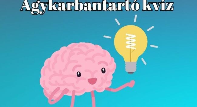 Agykarbantartó kvíz - Ebben a kvízben neked is megy a tízből legalább 7 helyes válasz!