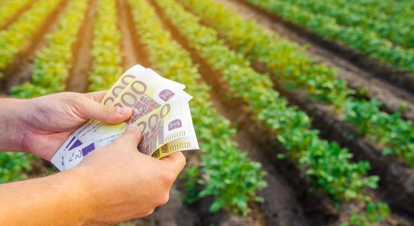 Kevesebb pénz, élesebb verseny – drasztikus változásokat hoz a KAP reformja