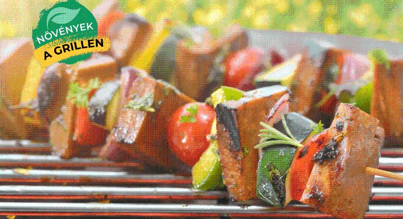 Így grillezd a tofut, tempeh-t és szejtánt, hogy lenyűgözd a vendégeket