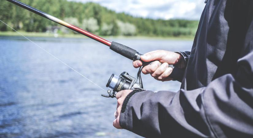 Kutyaevő halszörnyet látott valaki a Dunában, megszólaltak a szakemberek
