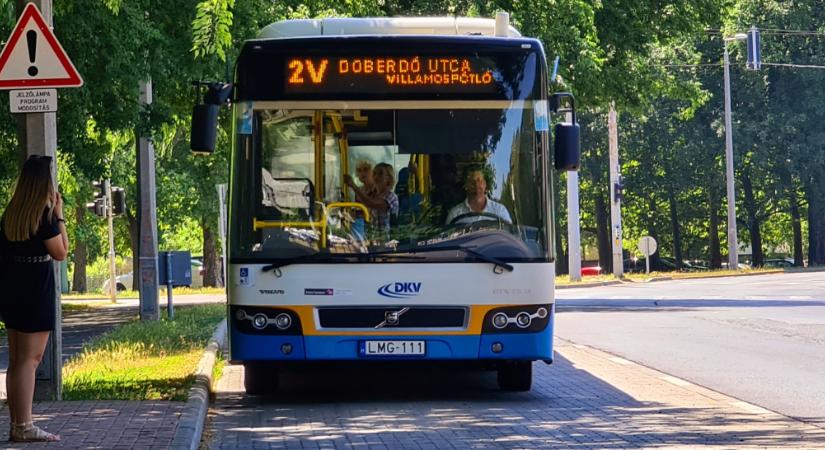 Durván keresztbe tett a debreceni tömegközlekedésnek egy megdőlt fa