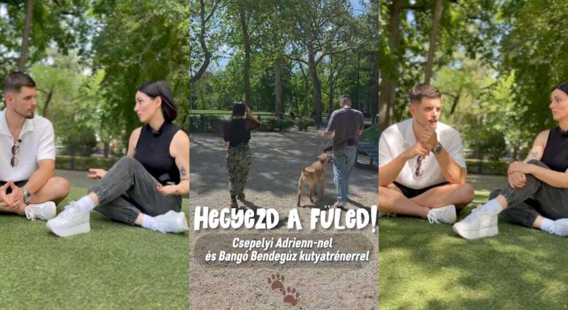 Vigyázz, mérgező! – Hegyezd a füled! (videó)