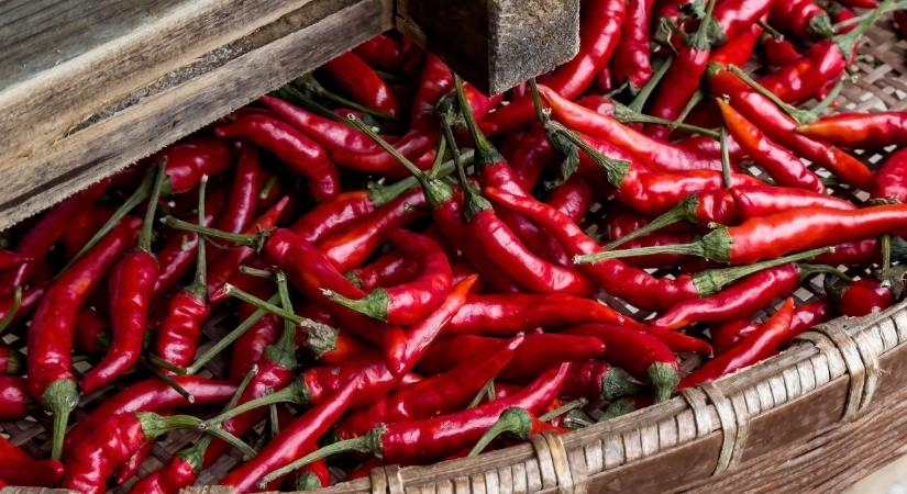Ez a szuperpaprika nálunk is terem: sokan nem is tudják, de aranyat ér