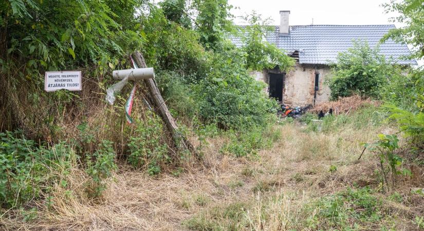 Megrázó tűzeset Fehérvár mellett: egy élet a lángok martalékává vált – helyszíni fotók