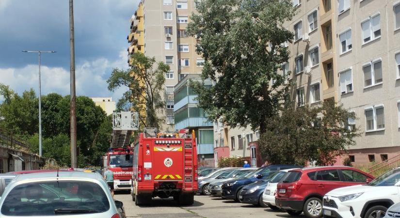 Debrecenben még zajlik a törött ágak eltávolítása