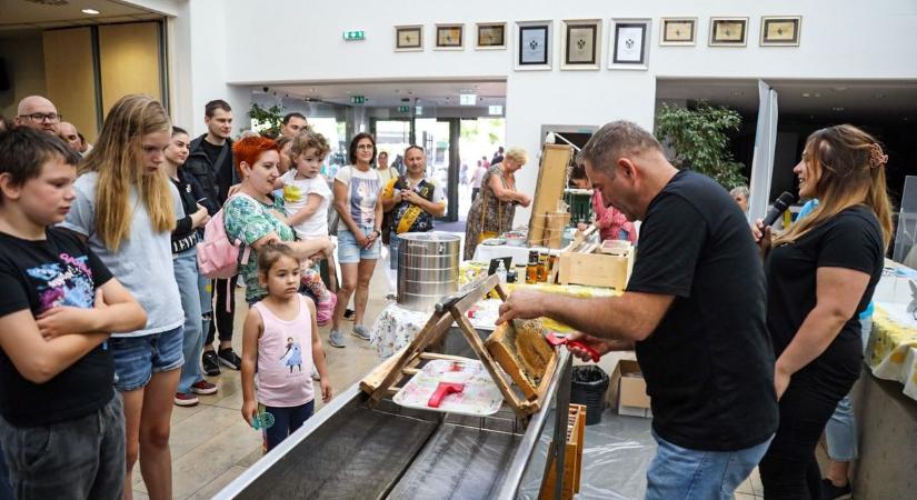 Csodálattal figyelte a szolnoki közönség, ahogy lágyan csordogál a sűrű, aranyló csemege – galériával
