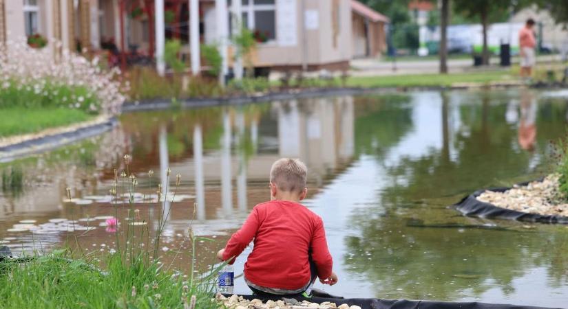 A mályi Tavak Kapuja Parkot szeretik és óvják a helyiek  fotók, videó