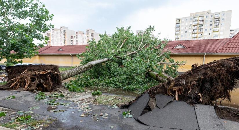 Tetemes károkat okozott a vihar Hajdú-Biharban, százmilliós károkról beszélt a biztosító