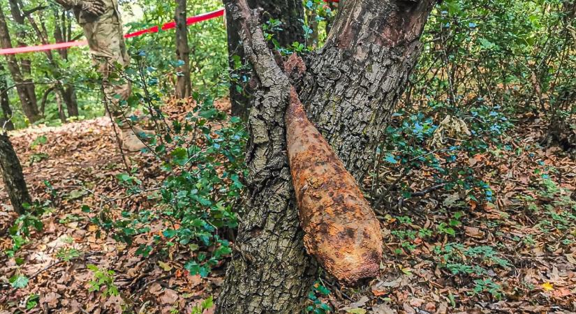 Volt, nincs fába szorult gránát – képek