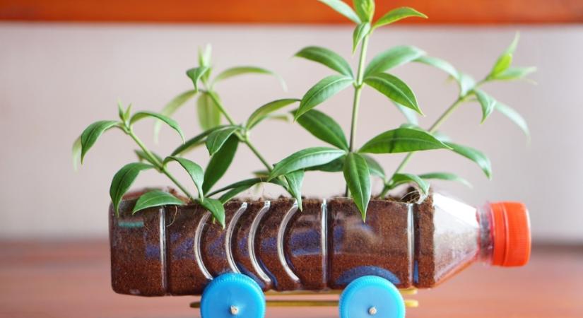 4 DIY ötlet a kertbe újrahasznosítással: vajon mire lehet jó egy régi fiók vagy borosüveg?