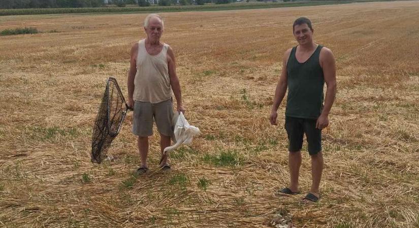 Életmentés a szolgálat közben: nem hagyta magára a sérült gólyát a kiskőrösi rendőr