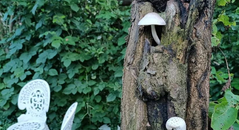 A hétvégén ismét felkereshetjük a strandokat, de gombát szedni nem kell menni