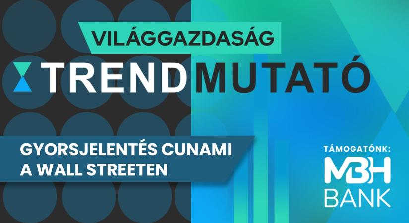 Gyorsjelentés-cunami a Wall Streeten