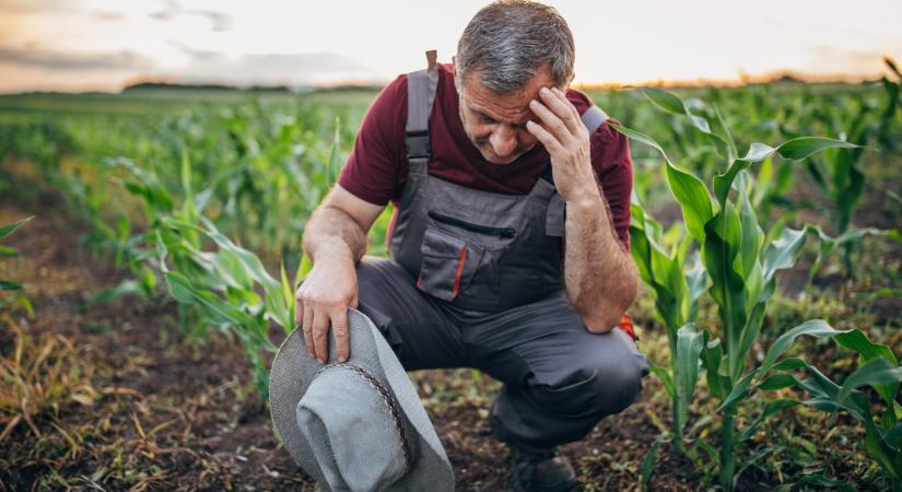 Uniós agrártámogatási reform: mi szól mellette, és mi ellene?