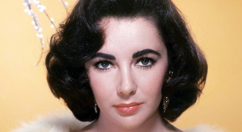 Láttad már őket? Elizabeth Taylornak 10 unokája született: így élnek napjainkban