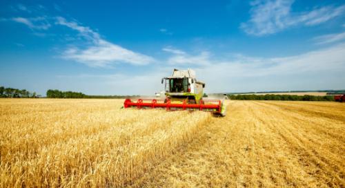 Gabonadömping, GMO, tiltott vegyszerek – elárulta a minisztérium, mi a baj Ukrajna EU-tagságával
