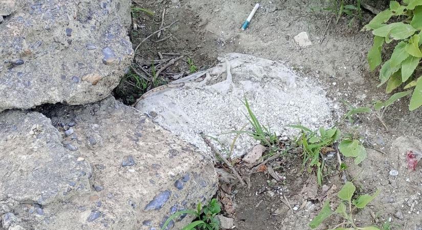 Egy horgász is kipecázta már az emberi hamvakkal teli zsákot a Tisza-parton
