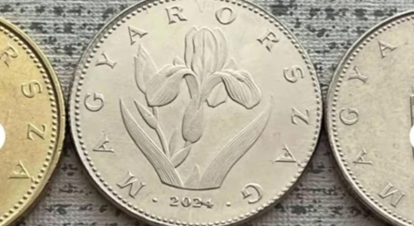 185 ezer forintot fizettek ezért a húszforintosért - ez az oka