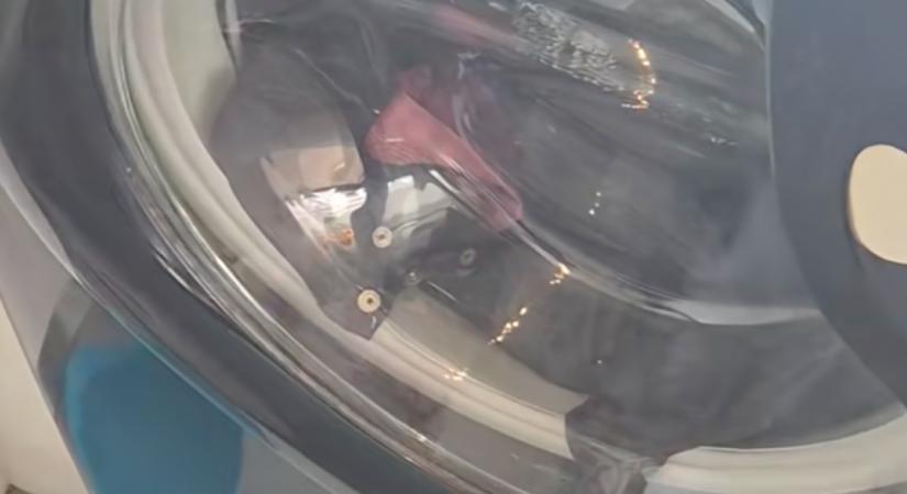 Ránéz a mosógépre az anya és meghűl az ereiben a vér - Videó