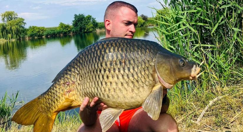 A viharban is jöttek a szebbnél szebb pontyok a hajdú-bihari tavon