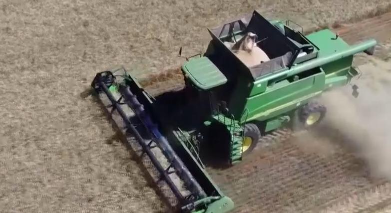 Az Európai Bizottságnak nincs elképzelése az európai mezőgazdaság jövőjéről  videó