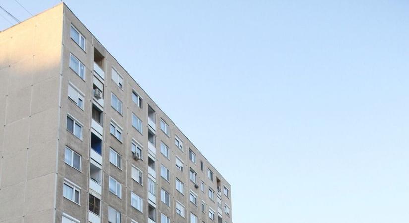 Pánik az Avason: vadállat rohangált a játszótéren este nyolckor