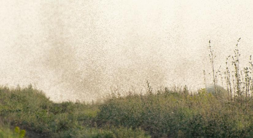 Tömegesen lepik el a partokat – mégis a vízminőség őrei
