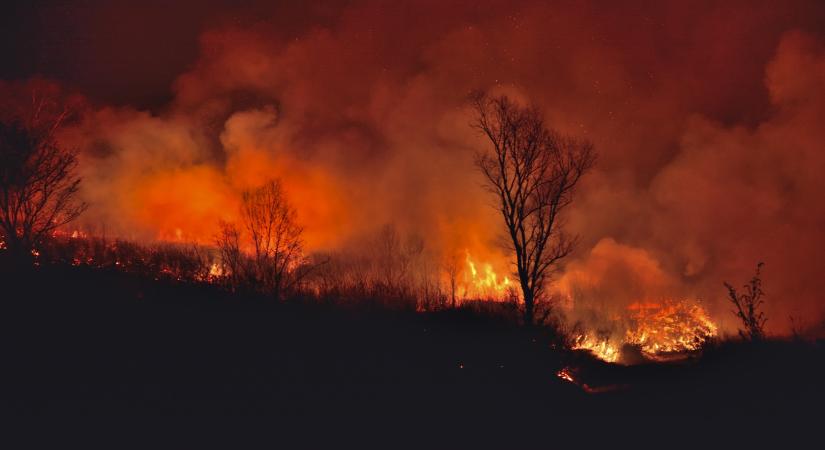 Hatalmas tűz van Budapest mellett: pyrocumulus alakult ki, mobil labor van a helyszínen