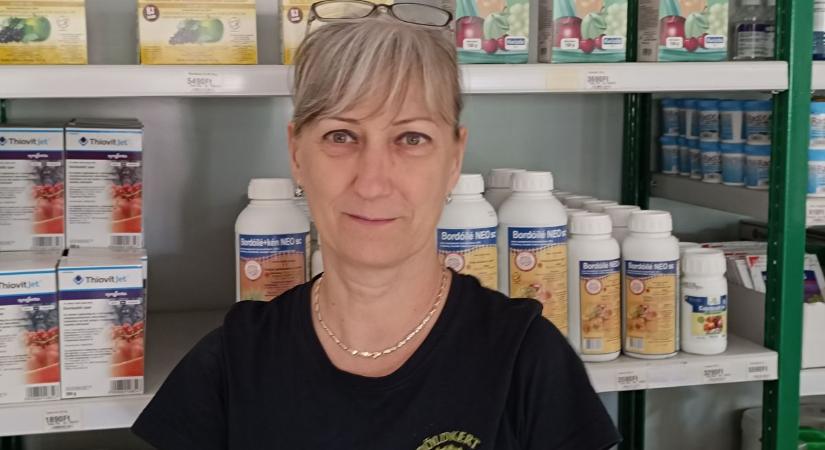 Ütésváltás, a kiskertesek győzelme
