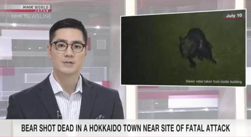 DNS-vizsgálat buktatta le a japán vérmedvét
