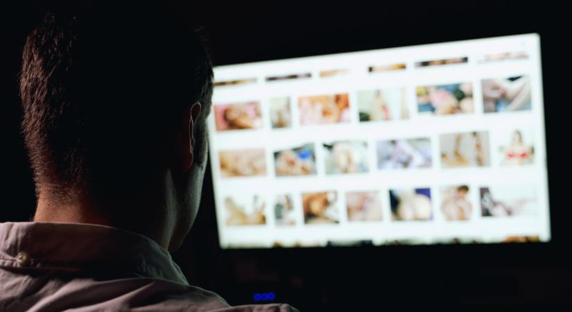 Letartóztattak egy magyar férfit, aki kiskorúakról készült pornográf felvételeket tárolt az eszközein