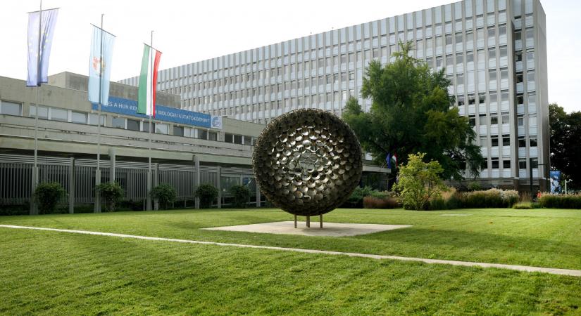 Magyar tudósok tárhatják fel a skizofrénia kialakulásának az okát a Szegedi Biológiai Kutatóközpontban