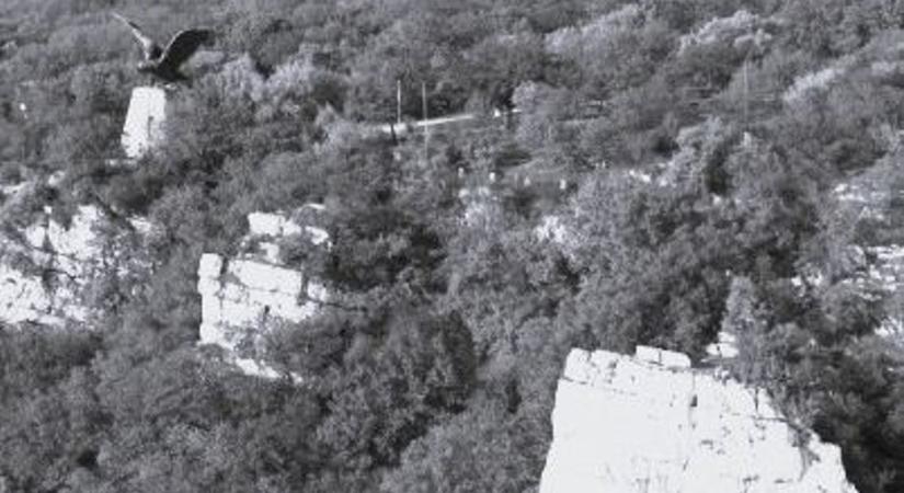 Tragédia Tatabányán: Lezuhant és meghalt egy sziklamászó a via ferrata pályán