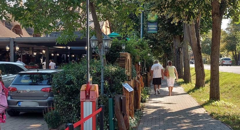 Elkerült buzizás, szeretetbeszéd és Bede Zsolt két keze az állami pikniken