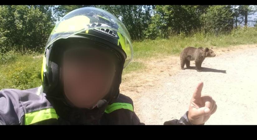 Az emberek mindent megtesznek a like-okért – De vadállattal pózolni tényleg ostobaság
