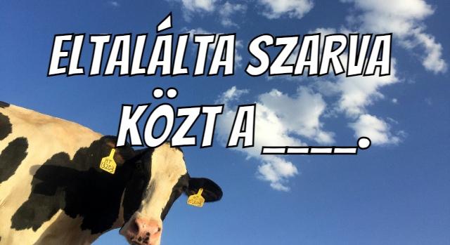 Napi közmondás feladat: Ki tudod egészíteni?