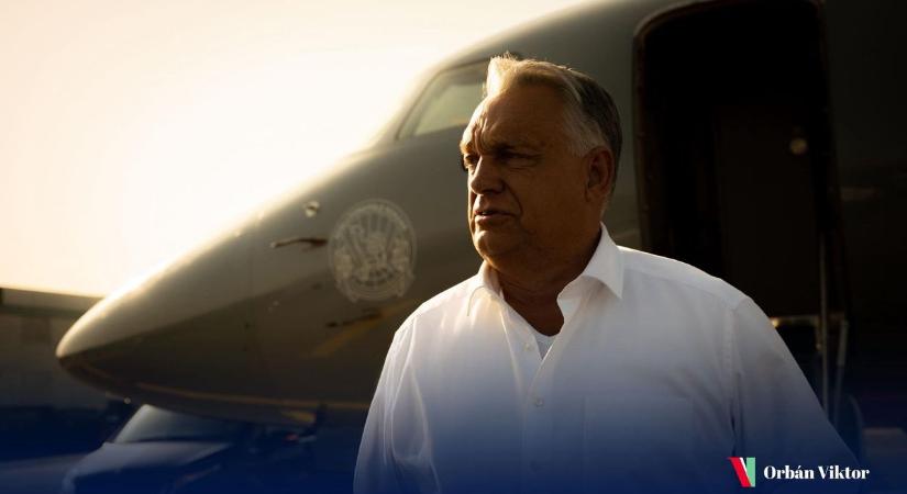 Az RTL Orbán-gyűlölő színésze széttaposta Magyar Péter vérlázító hazugságát